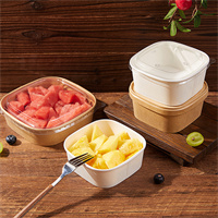 Square Takeaway Box from DisposablesInc.com. The best import service in China. Import your disposable items and products from us.